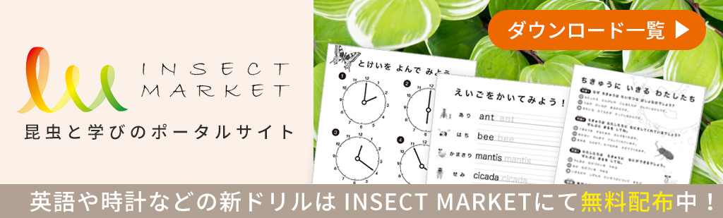 INSECT MARKET 学びドリル一覧