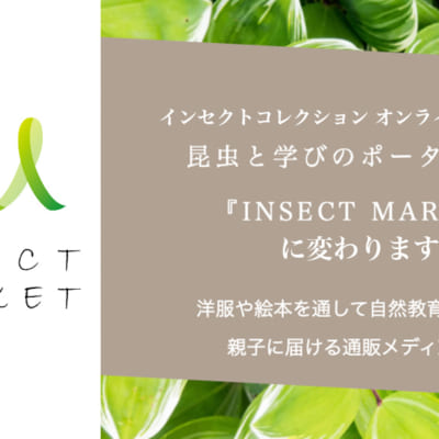 昆虫と学びのポータルサイト 『INSECT MARKET』